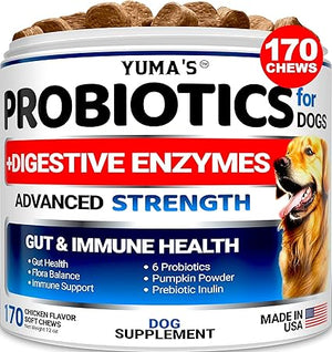 Yuma's Probiotics for Dogs and Digestive Enzymes