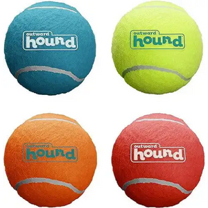 Outward Hound Squeaker Ballz Fetch Toy