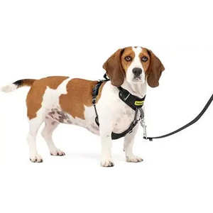 PetSafe Easy Walk Comfort No-Pull Dog Harness Full-Body Padding Small/Medium
