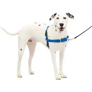 PetSafe Red Easy Walk No Pull Dog Harness, Medium/Large