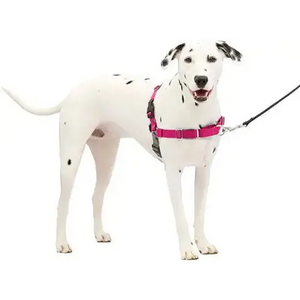 Petsafe Easy Walk No-pull Dog Harness, Medium, Raspberry/Gray