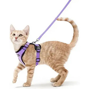 rabbitgoo Cat Harness and Leash for Walking, Escape Proof Soft Adjustable Vest Harnesses for Cats