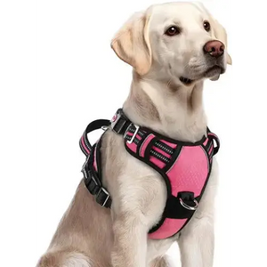 rabbitgoo-Dog Harness for Large Dogs, No Pull Dog Vest Harness with 3 Buckles