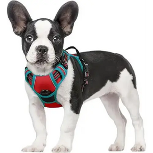 rabbitgoo-Dog Harness, No-Pull Pet Harness with 2 Leash Clips